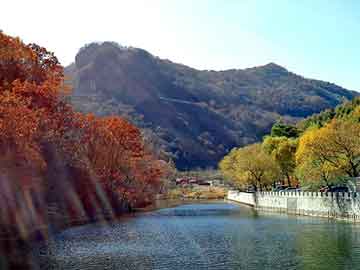 管家婆黑白马报图库，都市玉修